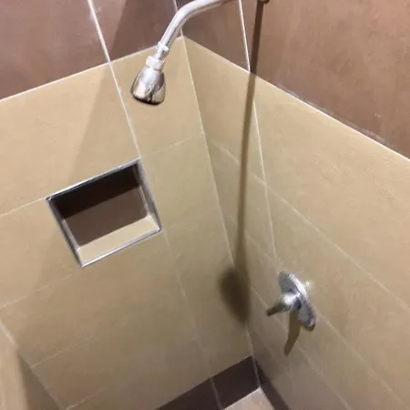 酒店 伊利斯酒店 *